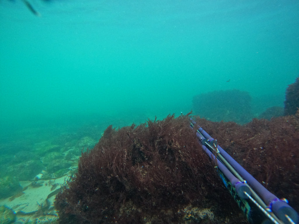 Forskellige steder at uv-jage